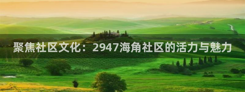 海角社区服务中心：聚焦社区文化：2947海角社区的活力与魅力