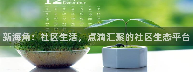 海角社区怎么注册不上：新海角：社区生活，点滴汇聚的社区生态平台