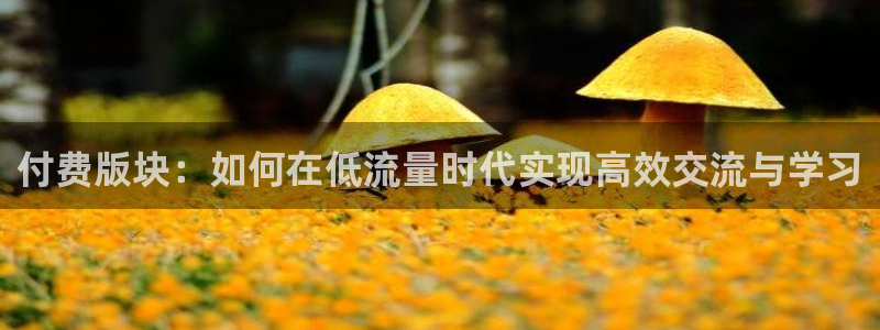 海角社区 洗脚妹：付费版块：如何在低流量时代实现高效交流与学习