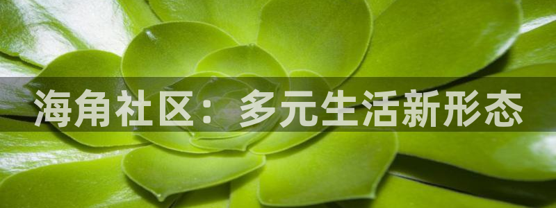 蝌蚪海角社区：海角社区：多元生活新形态