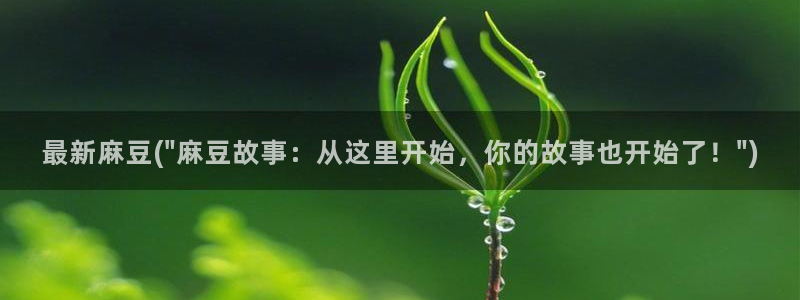 海角社区hjapp下载：最新麻豆(\
