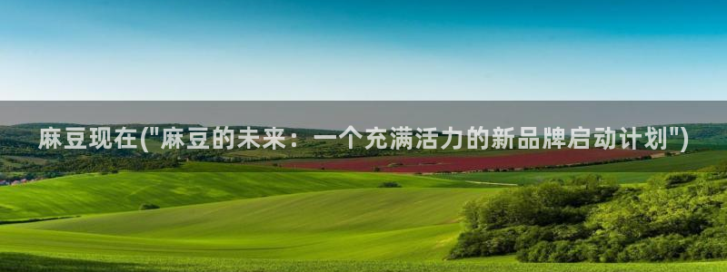 海角社区服务器在哪里：麻豆现在(\