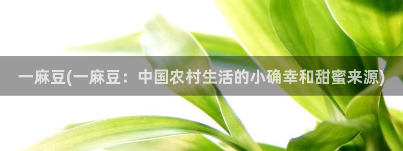 海角社区hj0b6：一麻豆(一麻豆：中国农村生活的小确幸和甜蜜来源)