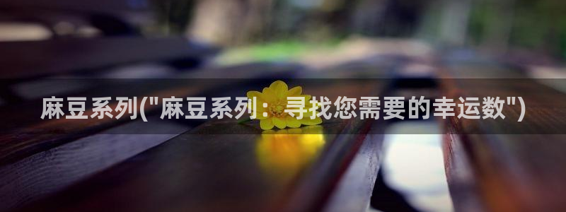 2021海角社区破解版