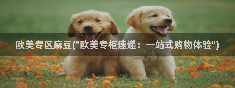 海角社区海角论坛ios