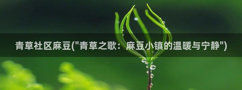 海角社区男主角：青草社区麻豆(\