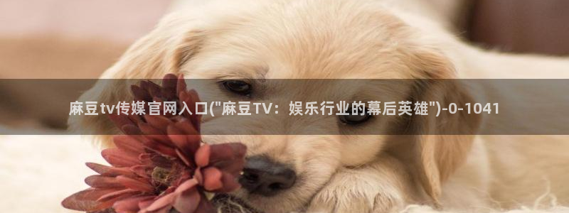 麻豆传媒视频