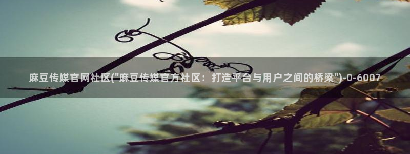 麻豆榜单页