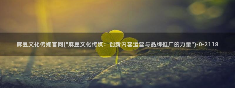 麻豆传媒视频