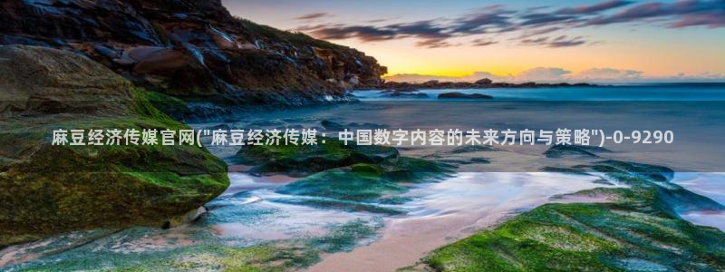 麻豆视频栏目规划