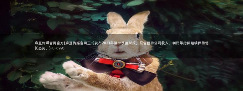 麻豆视频合集