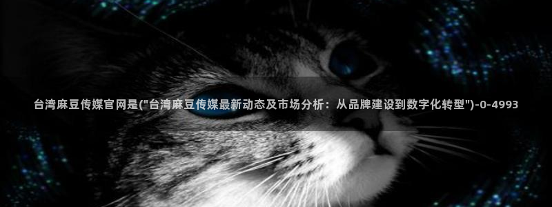 麻豆百度收录