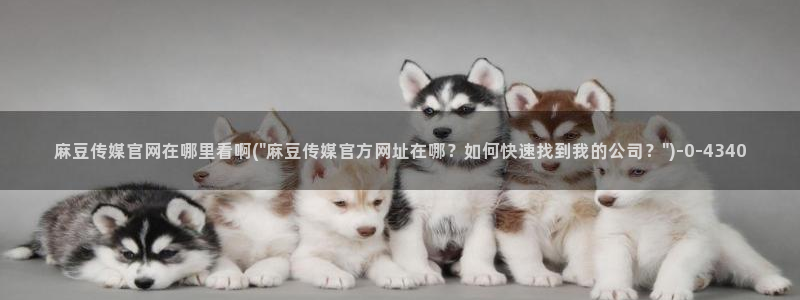 麻豆视频高流量词