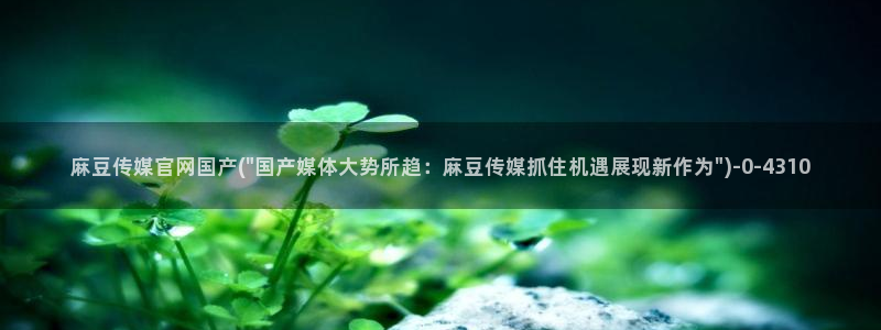 麻豆视频合作联系