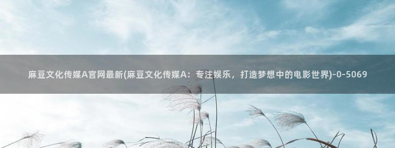 麻豆资源站模板