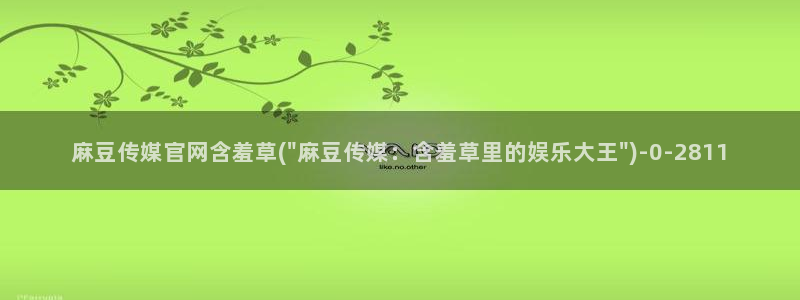 麻豆视频分类名称