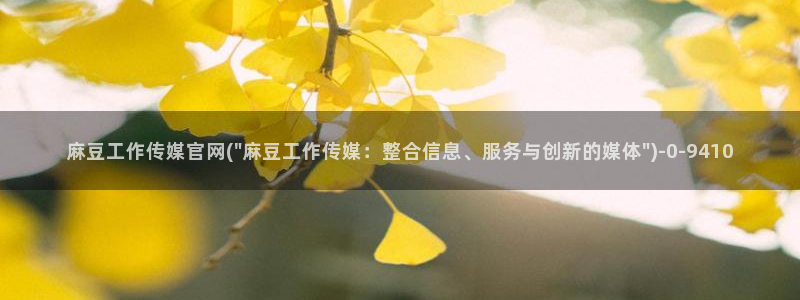 麻豆视频入口
