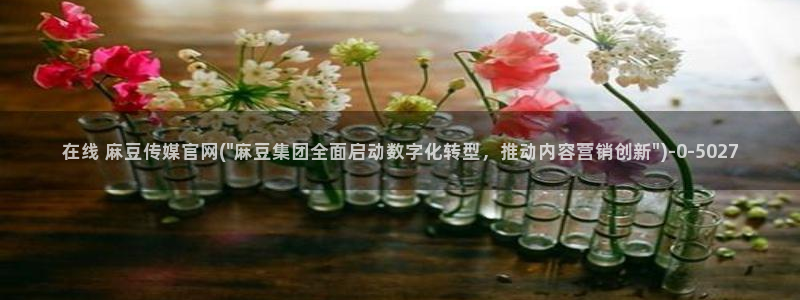 麻豆视频盘点