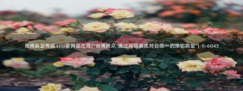 麻豆视频长尾词