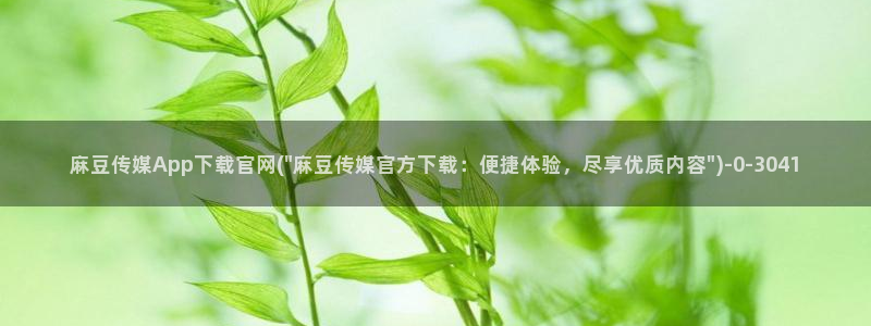 麻豆视频演员文案
