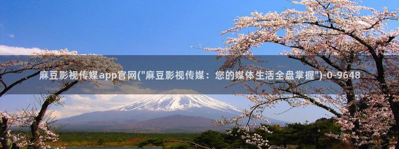 麻豆视频版权说明