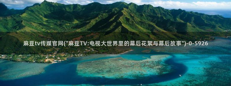 麻豆视频页面描述