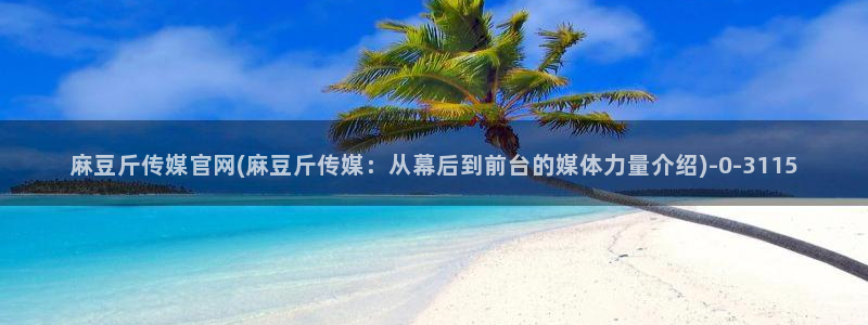 麻豆SEO关键词