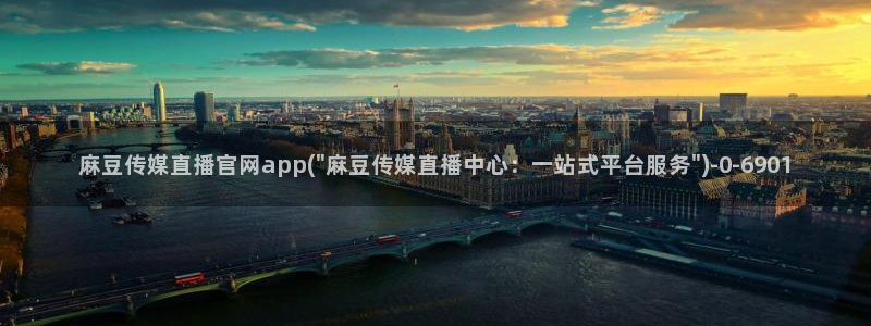 麻豆视频下载
