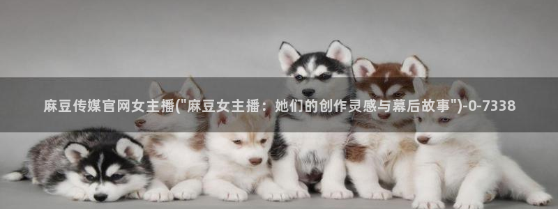 麻豆片单推荐