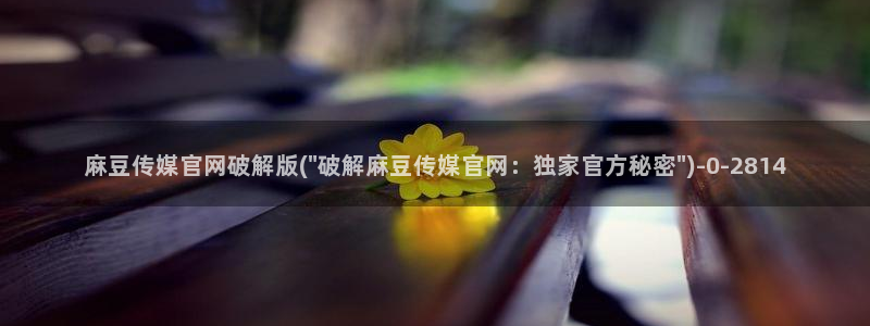 麻豆传媒新片：麻豆传媒官网破解版(\