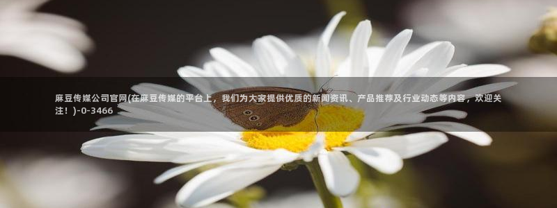 麻豆视频：麻豆传媒公司官网(在麻豆传媒的平台上，我们为大家提供优质的新闻