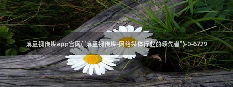 麻豆剧情描述