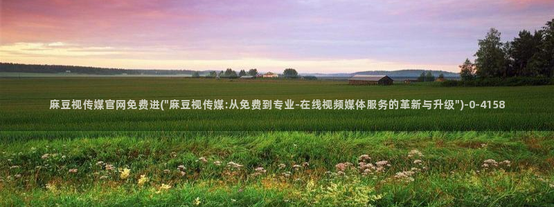 麻豆视频自动更新