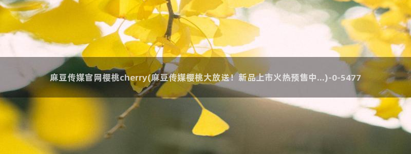 麻豆视频资源站
