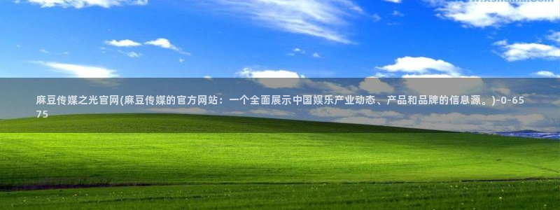 麻豆视频