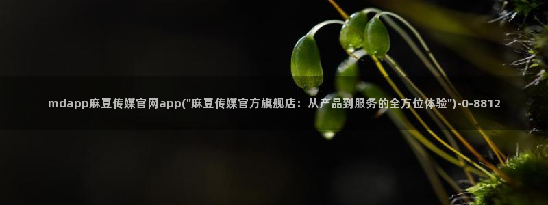 麻豆传媒在线观看