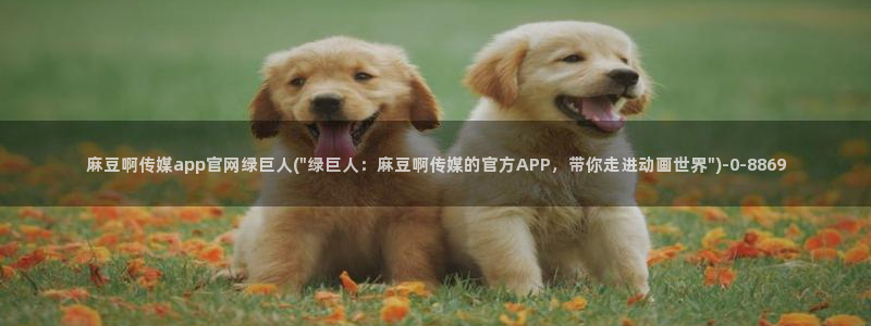 麻豆资源导航