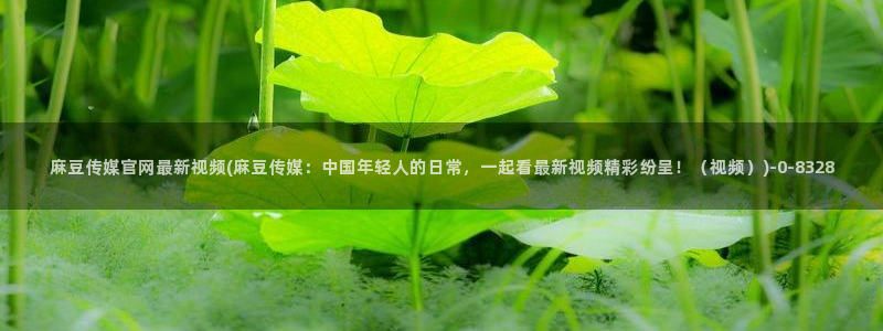 麻豆都市剧情