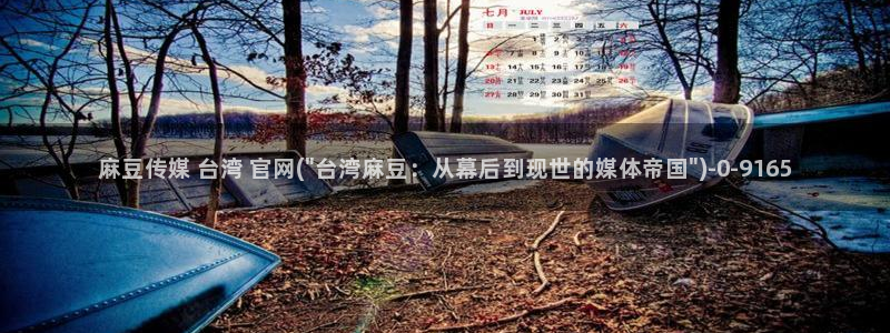 麻豆描述优化
