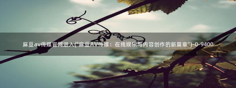 麻豆视频站内文案
