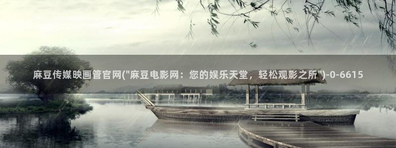 麻豆视频点评