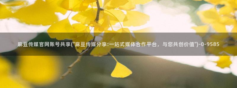 麻豆剧情视频
