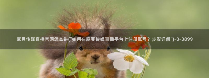 麻豆演员图鉴